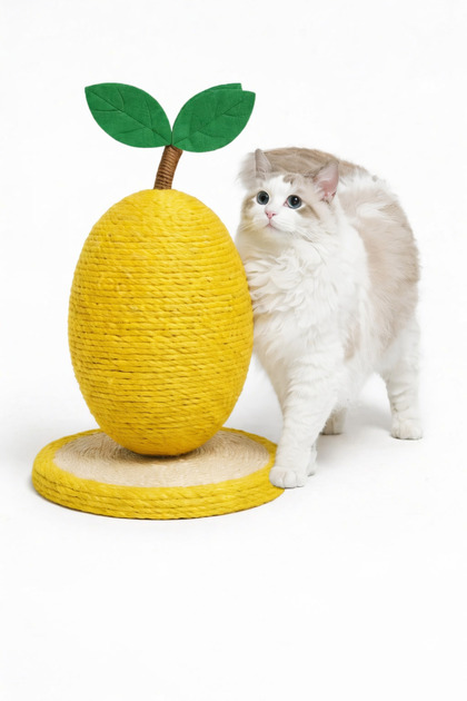 Nilisse, Limon Tasarımlı Hasır Kedi Tırmalama Tahtası Oyuncaklı Kedi Tırmalama Matı 18x25 cm