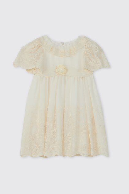 Baby Girl Embroidered Rose Detailed Powder Dress
