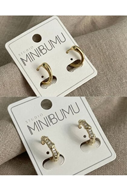 2 Pairs Snake and Rhinestone Tarnish Resistant Steel Gold Color Earrings Set