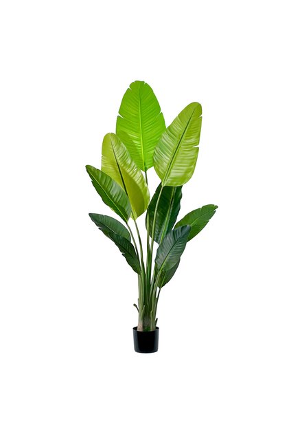 160cm Artificial Banana Plant Fake Bird of Paradise Plant for Indoors Home Office Decor