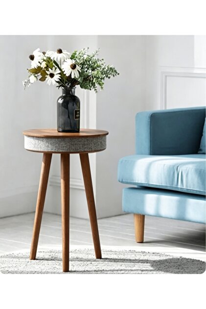 Multifunctional Smart Coffee Table with Bluethooth speaker Wireless Charger 🎶