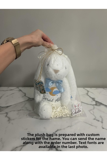 Baby Plush Rabbit Sleeping Companion Toy