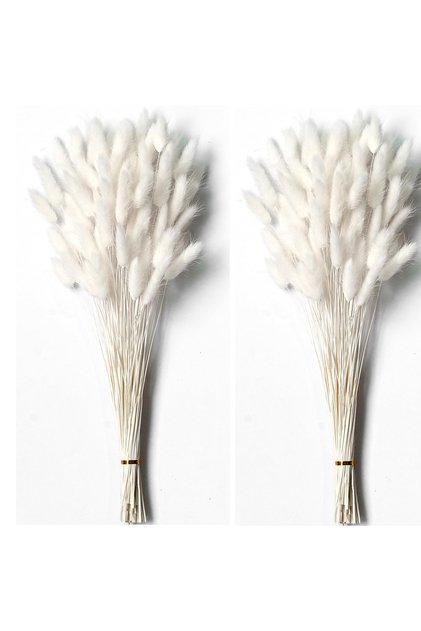 120PCS Bunny Tails Dried Flowers, Dried Rabbit Tail Grass Bouquet for Wedding Home Party Decor