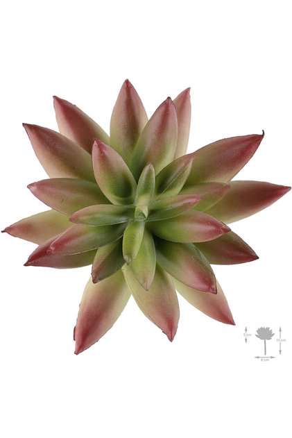 Planta artificiala suculenta model63
