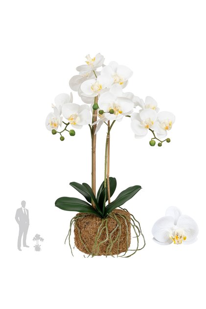 Orhidee artificiala alba cu aspect H56 cm cu 2 tulpini