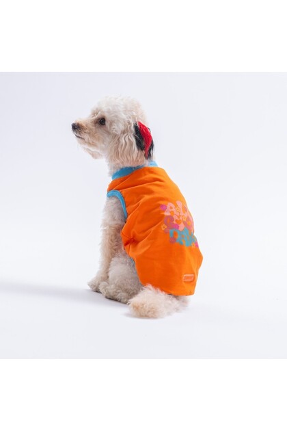 Orange-Orange All Good Days Cat Dog T-Shirt-Cat Dog Outfit