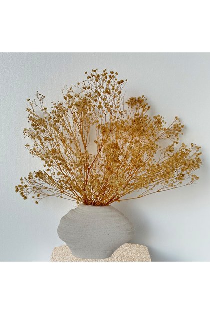 2000+ Bulk Bleached Dried Babys Breath Bouquet, Gold Gypsophila Flowers for Home Office Party Decor