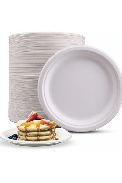 Disposable Sugarcane Pulp Paper Plates 9 Inch – 25 Piece Set