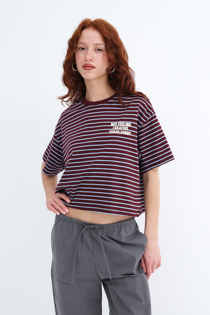 Addax Bisiklet Yaka Çizgili T-shirt P10711 - Fiyatı, Yorumları