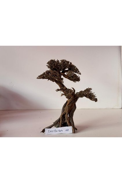 Moss Ağaç Figürü Kök (No:08) [20x13x20h]