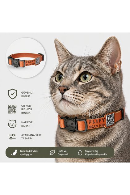Qr Code Cat Collar, Digital Cat Id, Smart Cat Neck Collar