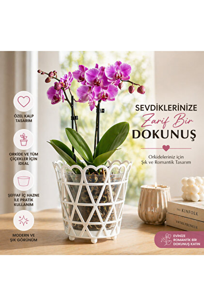 Dekoratif Kalpli Orkide Saksısı Şeffaf İç Hazneli Modern Tasarım Çiçek Saksısı