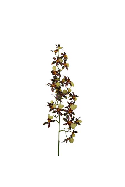 Tija Orhidee Artificiala 60 cm