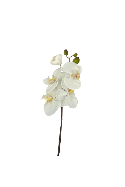 Orhidee artificiala 80 cm (Tija cu 5 flori alb galben)