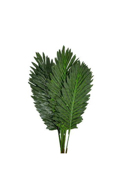 Frunze Artificiale Robelini Verde 80 cm