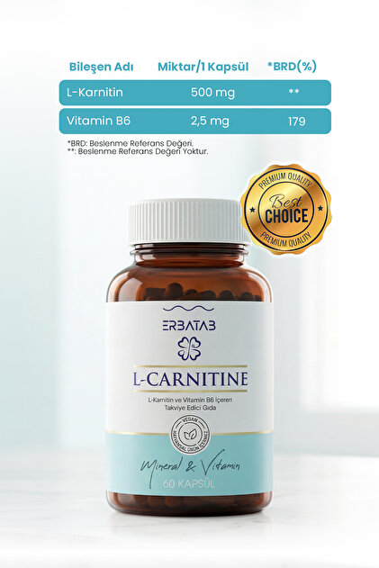 alc vs l carnitine Acetyl-L-carnitine in chronic pain: A narrative review
