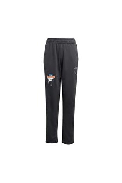 ゆん adidas J ALLSZN GFX PT Eşofman Altı Siyah JC7614 - Fiyatı, Yorumları