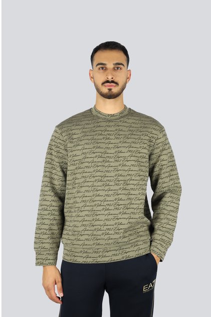 Men's Regular Fit Crew Neck Long Sleeve Green Sweatshirt