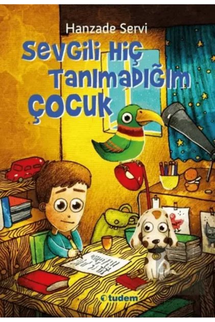 SEVGİLİ HİÇ TANIMADIĞIM ÇOCUK- 1