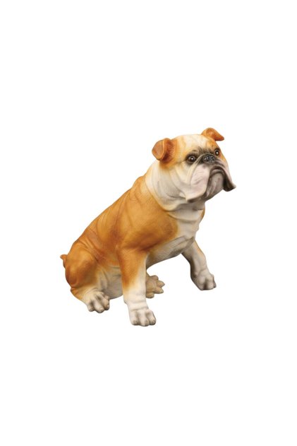 AÇIK KAHVE İNGİLİZ BULLDOG