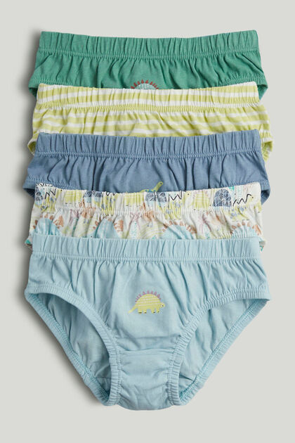 5Li Dinazor Slip Külot