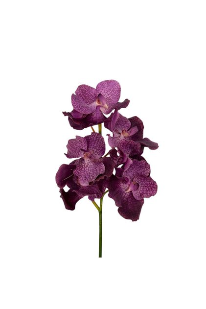 Tija Vanda Artificiala Violet 60 cm