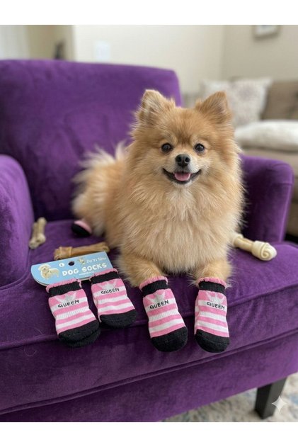 KÖPEK ÇORABI L BEDEN KAYDIRMAZ TABANLI