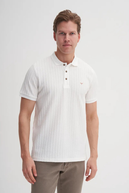 Men's T-Shirt 40520