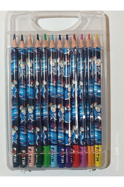 Triangular Colored Crayons in Jumbo Plastic Box
