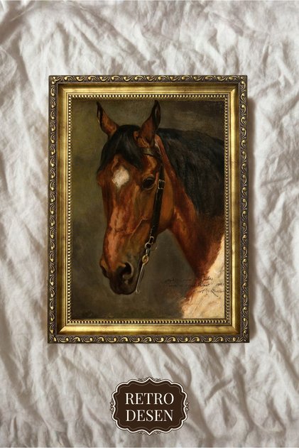 Desenli Çerçeve, Hayvan Tablosu, Sanatsal Vintage Baskı, Duvar Dekoru, Ev Dekorasyonu, At Resmi, 36n
