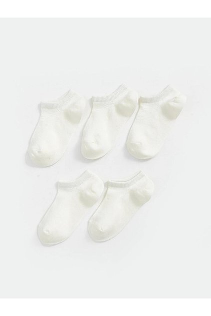 Crpd,Mumfas5-Ck-Rpt (S5)