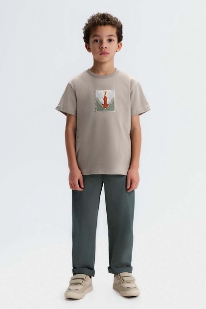 Boy 41522 fox t-shirt