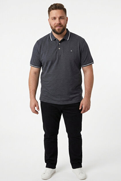 Men's Polo Collar T-Shirt Large Size Pique Short Sleeve Striped Anthracite Buttoned Casual Sport 12143859