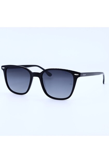 Sunglasses Model Nb6031