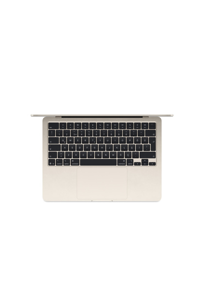 Apple 13
