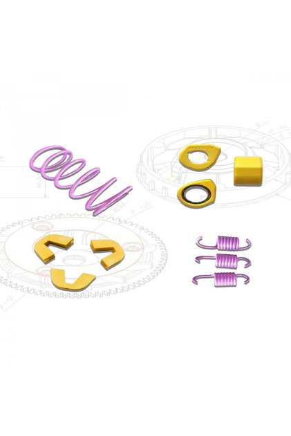Rks Spontini 110 Speed Up Paketi (Baga 10 Gr)
