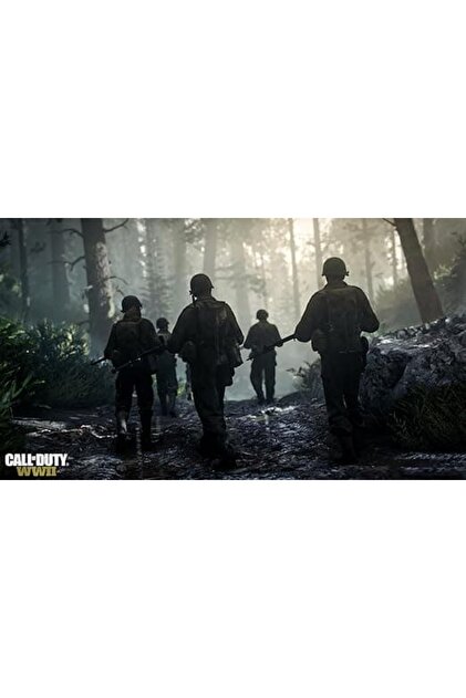 Activision PS4 CALL OF DUTY WW2 ( Koruma Jelatinsiz ) - Fiyatı