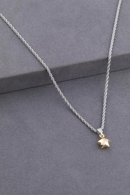 316 L Stainless Steel - Anti-Allergic - Non-Tarnish - Steel Chain - Steel Small Star End - Design Necklace