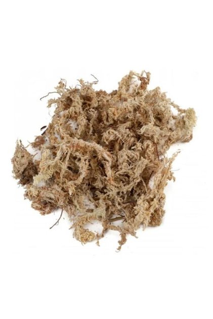 Mușchi Sphagnum uscat, 3,5 L, pentru terarii