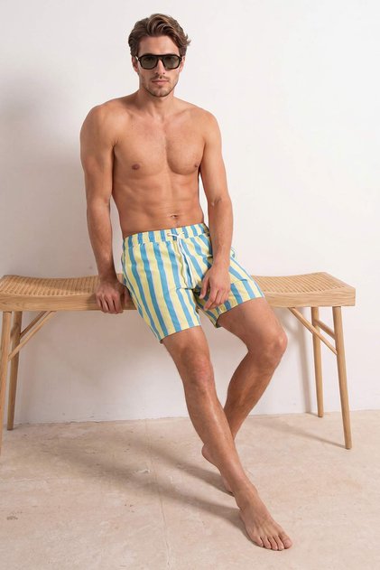 Yellow-Green Striped Regular Length Regular Fit Men's Swim Shorts Tmnss26Ds00009