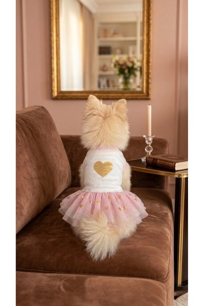Cat Dog Heart Printed Tutu Dress