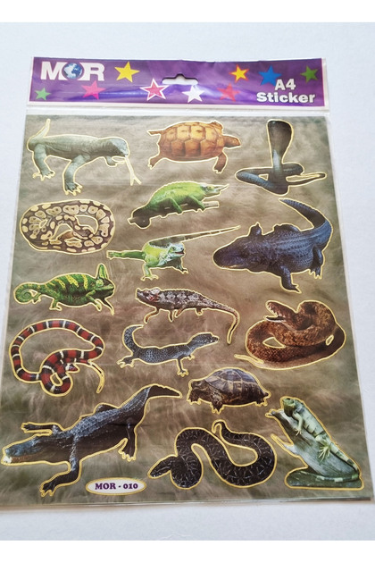 Sürüngen Hayvanlar Sticker 30x20cm Ebat Gerçek Görsel Yapıştırmalı Çıkartma Etiket