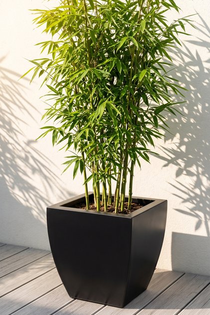 Zenith 30 cm Kare Kavisli Metal Siyah Saksı - İç ve Dış Mekan Modern Metal Saksılık (30x30/20 cm)