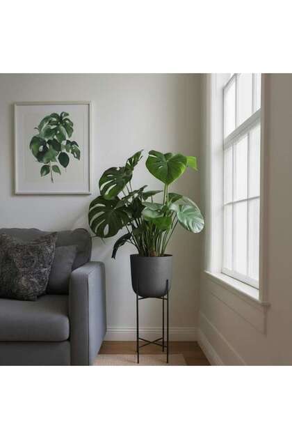 Parsley Metal Textured Planter With Stand 28x28x71cm - Black