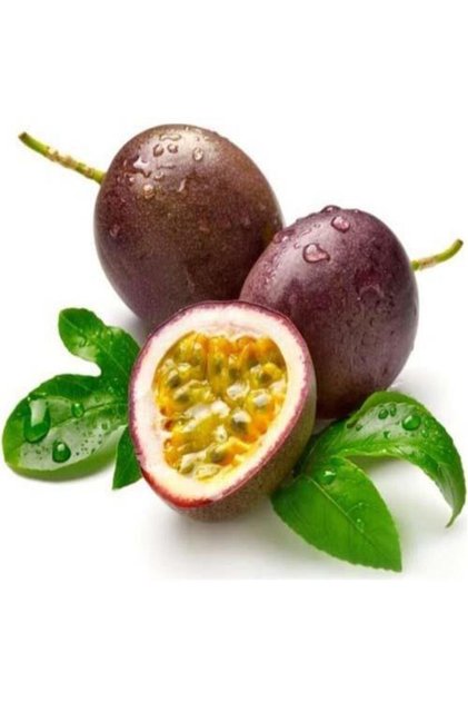 PASİFLORA EDULİS Çarkıfelek Fidanı +15 cm