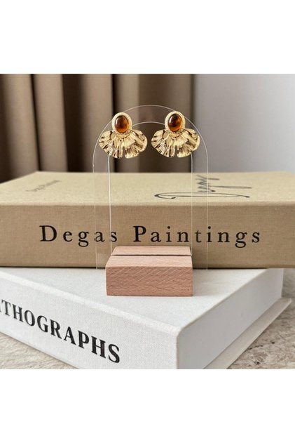 Steel Earrings with Colored Stones / Brown