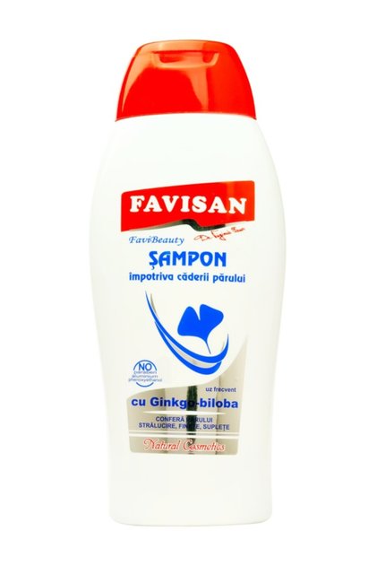 Sampon contra caderii parului ginkgo biloba 250ml