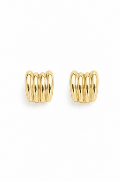 Women's Earrings United Claw Earrings