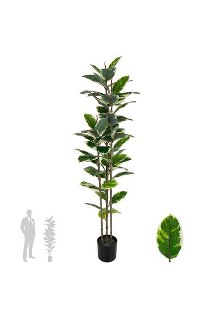 Copac artificial H160cm Ficus elastica variegat cu 61 frunze verde cu alb