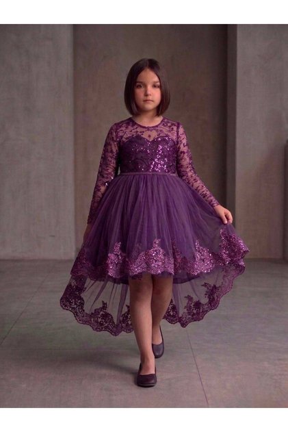 Girl's Evening Dress Tulle Puffy Dress Wedding, Prom, Birthday, Gown